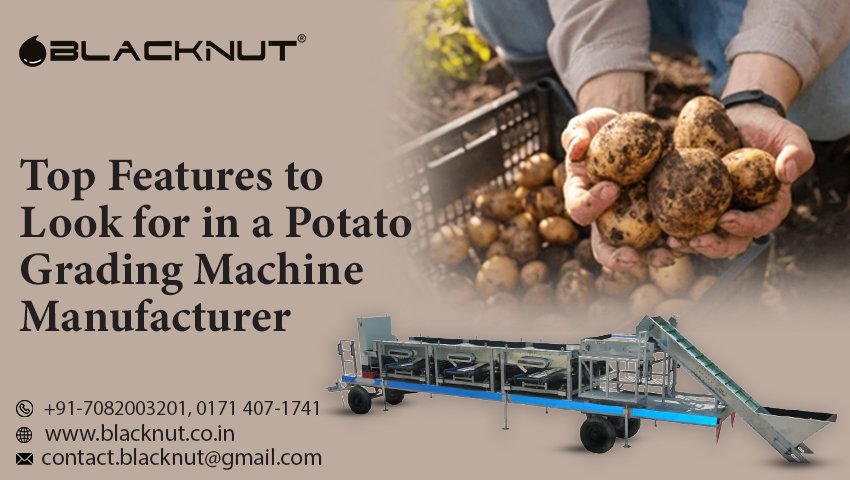 Potato Grading Machine Manufacturer