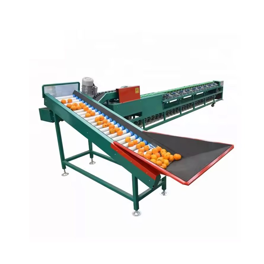 Fruit & Vegetable Grading Machine