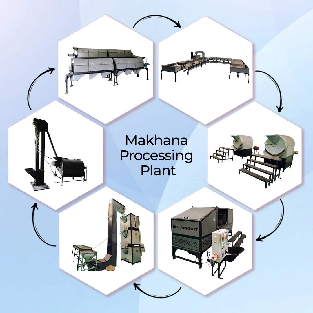 Makhana Processing Plant